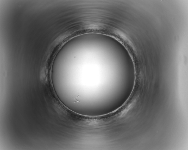 X0000089760970200706211540