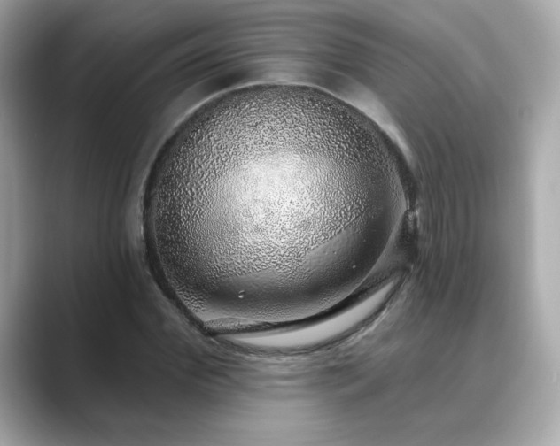 X0000089760972200706211540