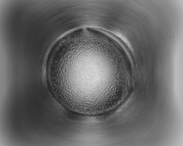 X0000089760976200706211540