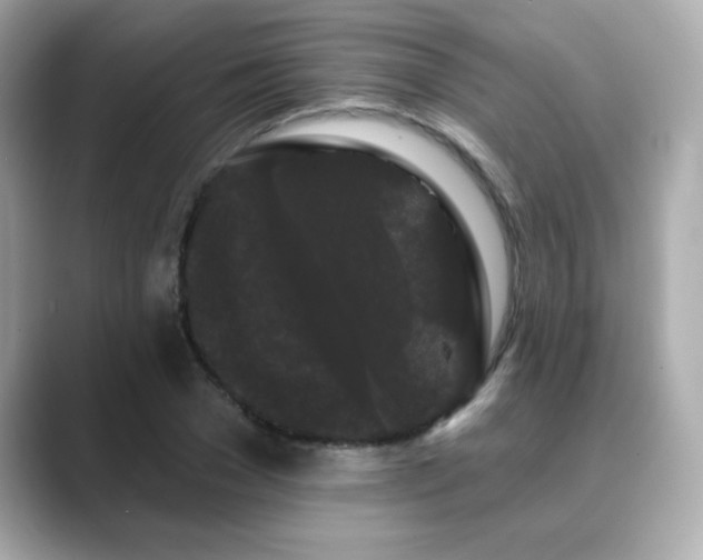 X0000089760977200706211540