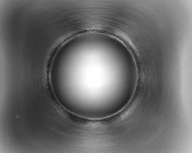 X0000089760978200706211540