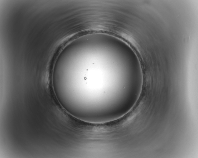 X0000089760979200706211540