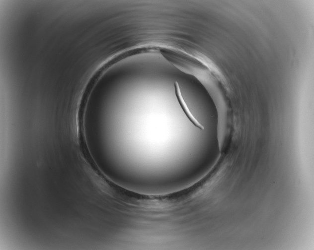 X0000089760980200706211540