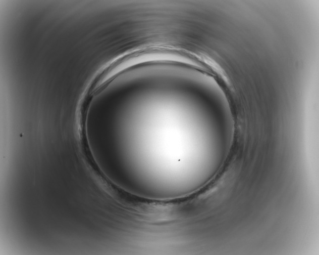 X0000089760981200706211540
