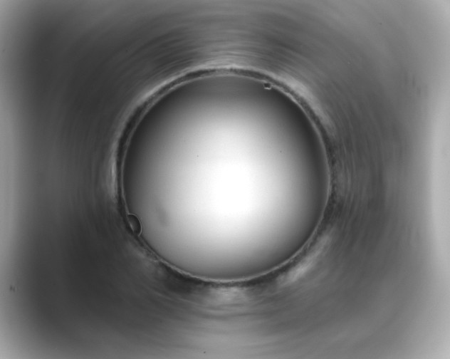 X0000089760982200706211540