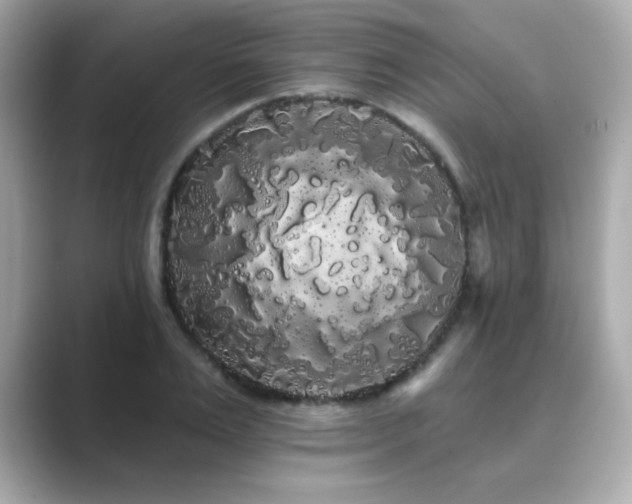 X0000089760983200706211540