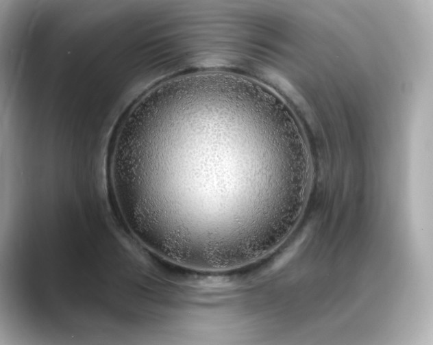 X0000089760986200706211540