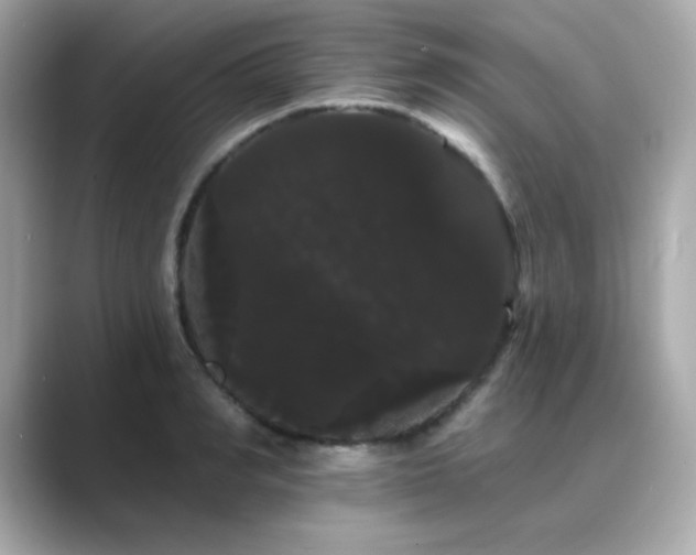 X0000089760990200706211540