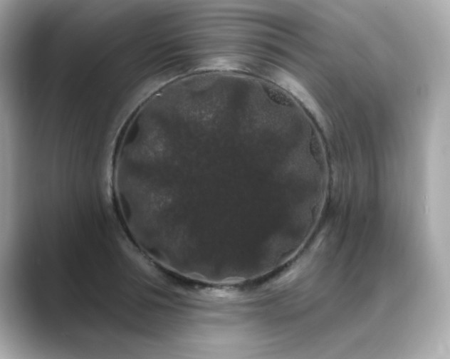 X0000089760994200706211540