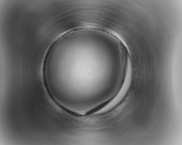 X0000089760995200706211540