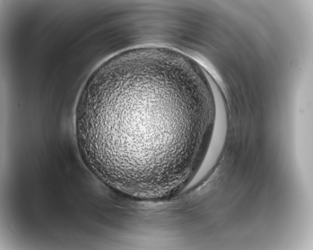 X0000089760996200706211540