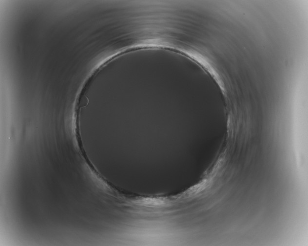 X0000089760998200706211540