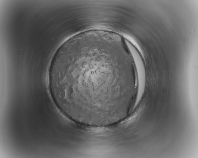 X0000089760999200706211540