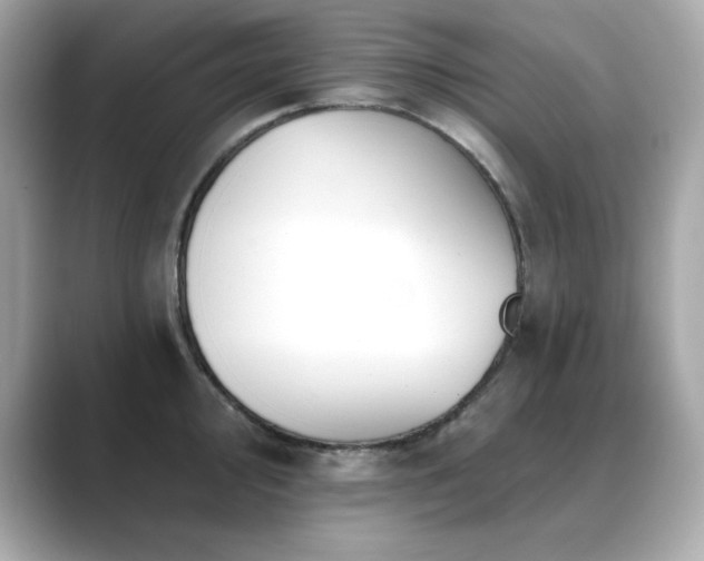 X0000089761000200706211540
