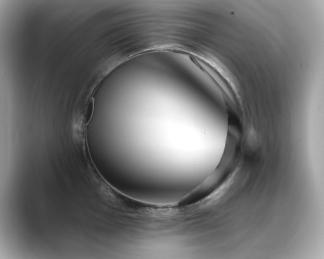 X0000089761001200706211540