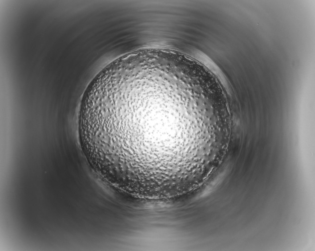 X0000089761002200706211540