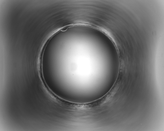 X0000089761003200706211540