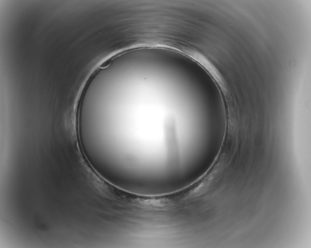 X0000089761004200706211540
