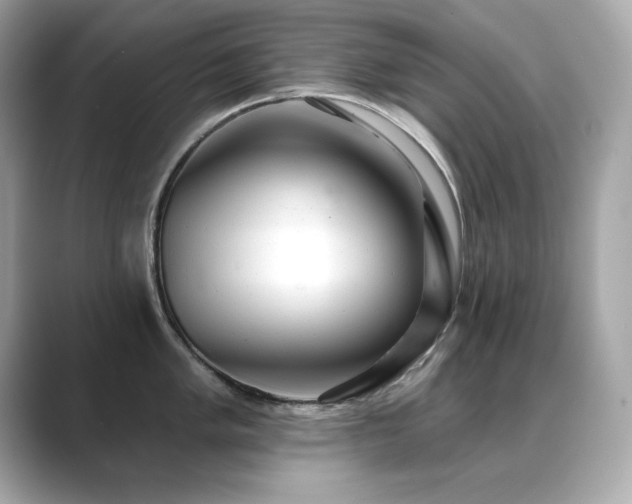 X0000089761005200706211540