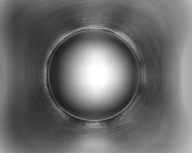 X0000089761006200706211540