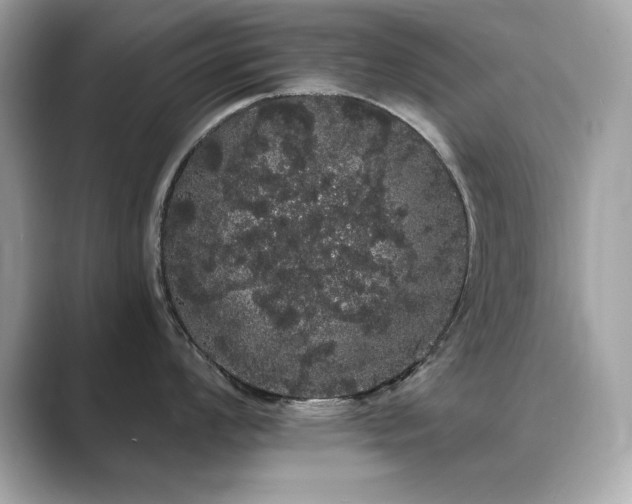 X0000089761008200706211540