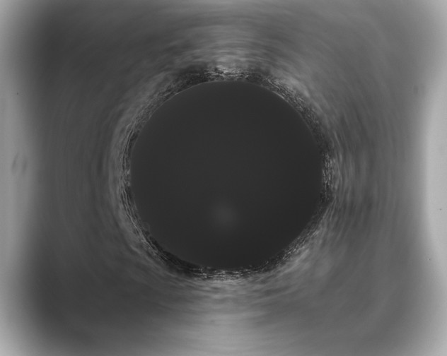 X0000089761009200706211539