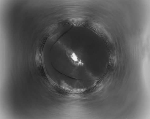 X0000089761010200706211539