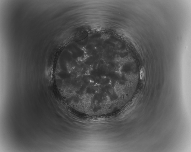 X0000089761011200706211539