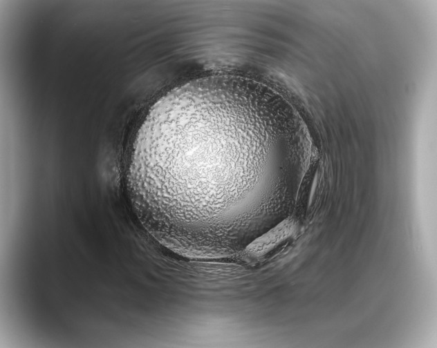X0000089761012200706211539