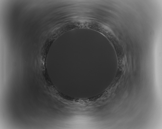 X0000089761013200706211539