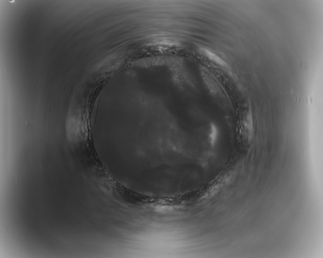 X0000089761014200706211539