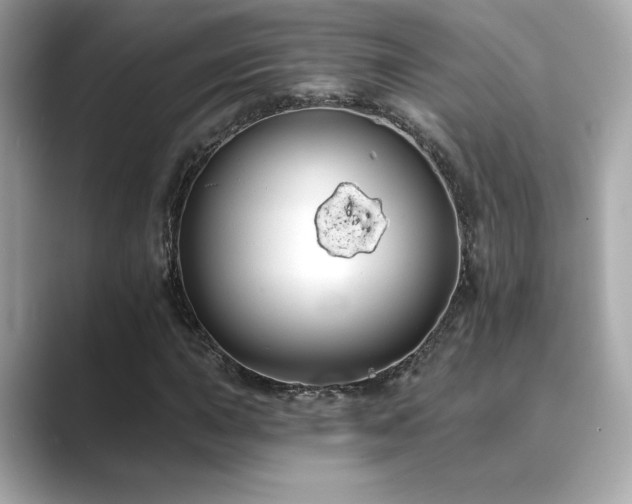 X0000089761015200706211539