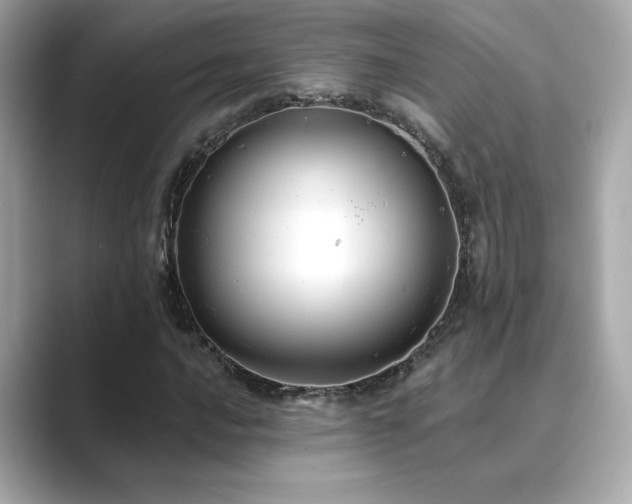 X0000089761016200706211539