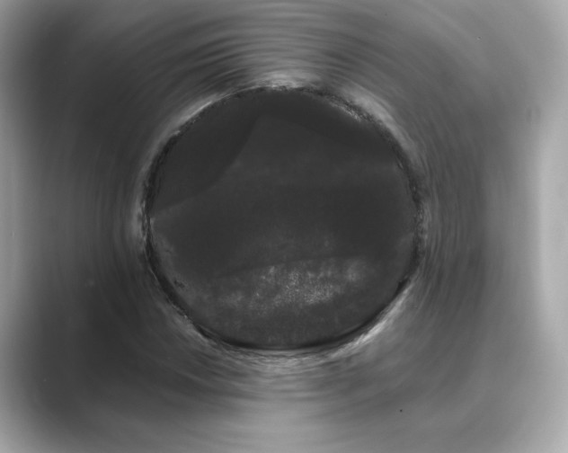 X0000089761018200706211539