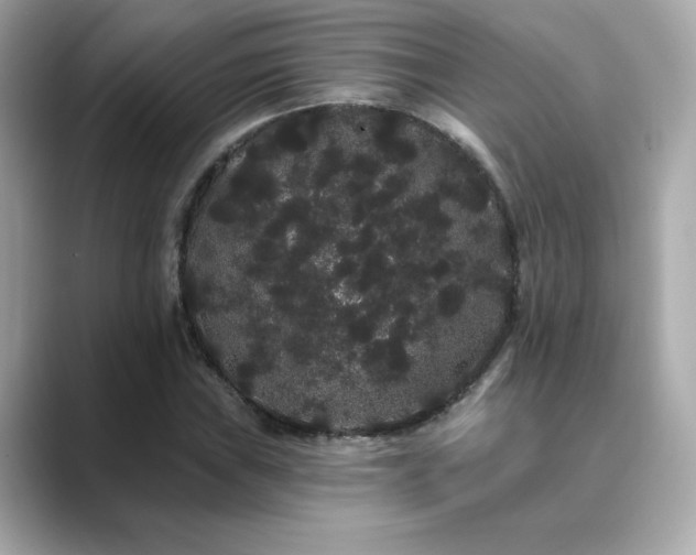 X0000089761019200706211539