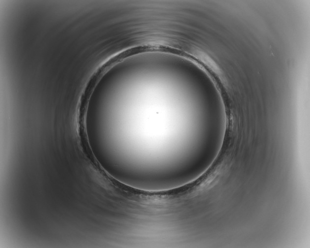 X0000089761020200706211540