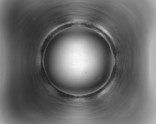 X0000089761021200706211540