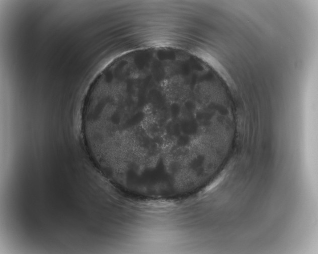 X0000089761023200706211540