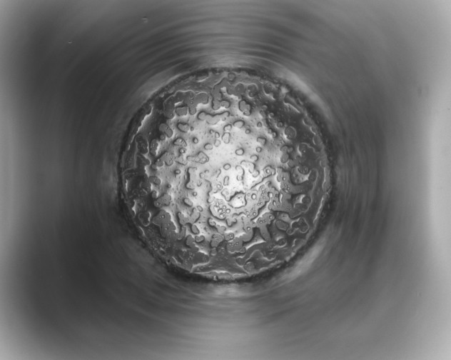 X0000089761025200706211540