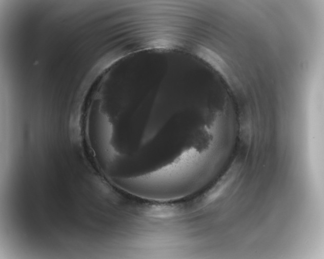 X0000089761026200706211540