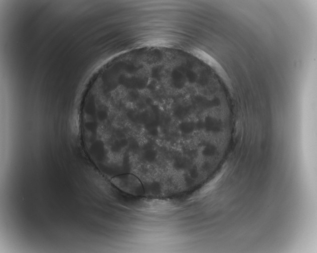 X0000089761027200706211540