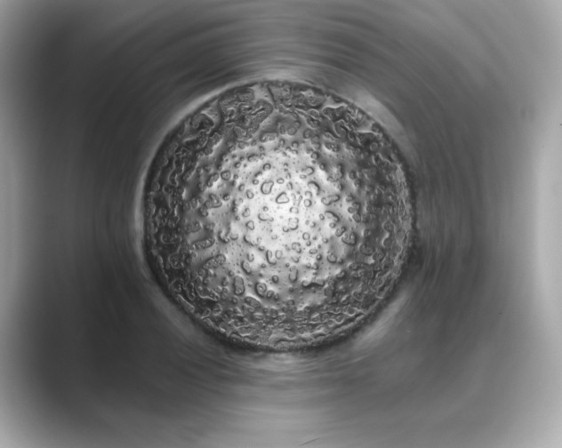 X0000089761028200706211540