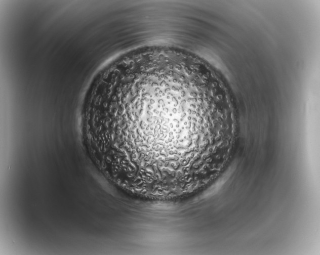 X0000089761029200706211540