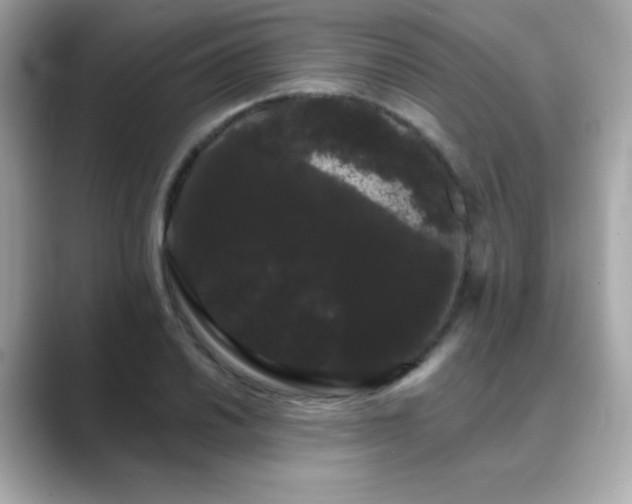 X0000089761030200706211540