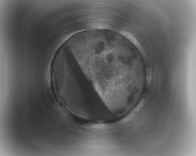 X0000089761031200706211540