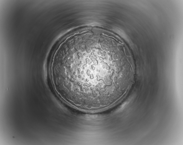X0000089761032200706211540