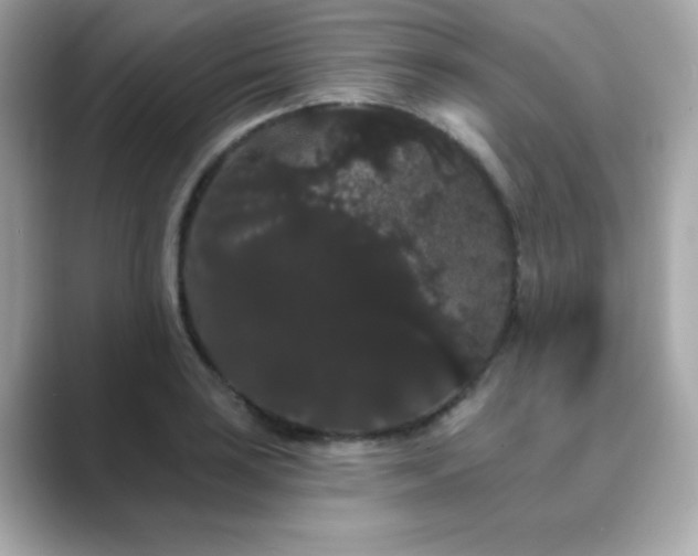 X0000089761035200706211540