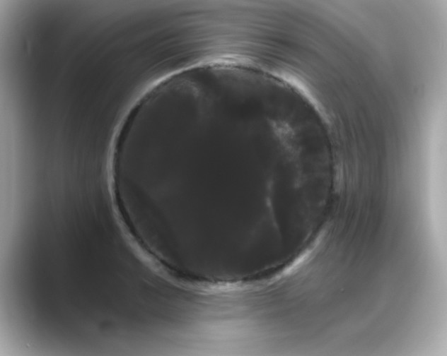 X0000089761038200706211540
