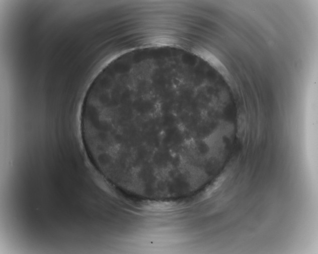 X0000089761039200706211540