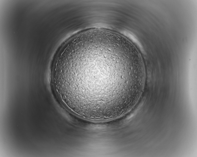 X0000089761040200706211540
